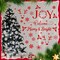 14 Pcs Christmas Stencils for Doormat Painting(Christmas)11.02"L x 11.02"W